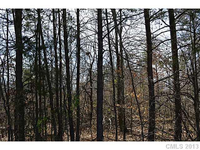 2028 Rhyne Road Dallas, NC 28034 - Photo 4 of 8 Gallery Image 4