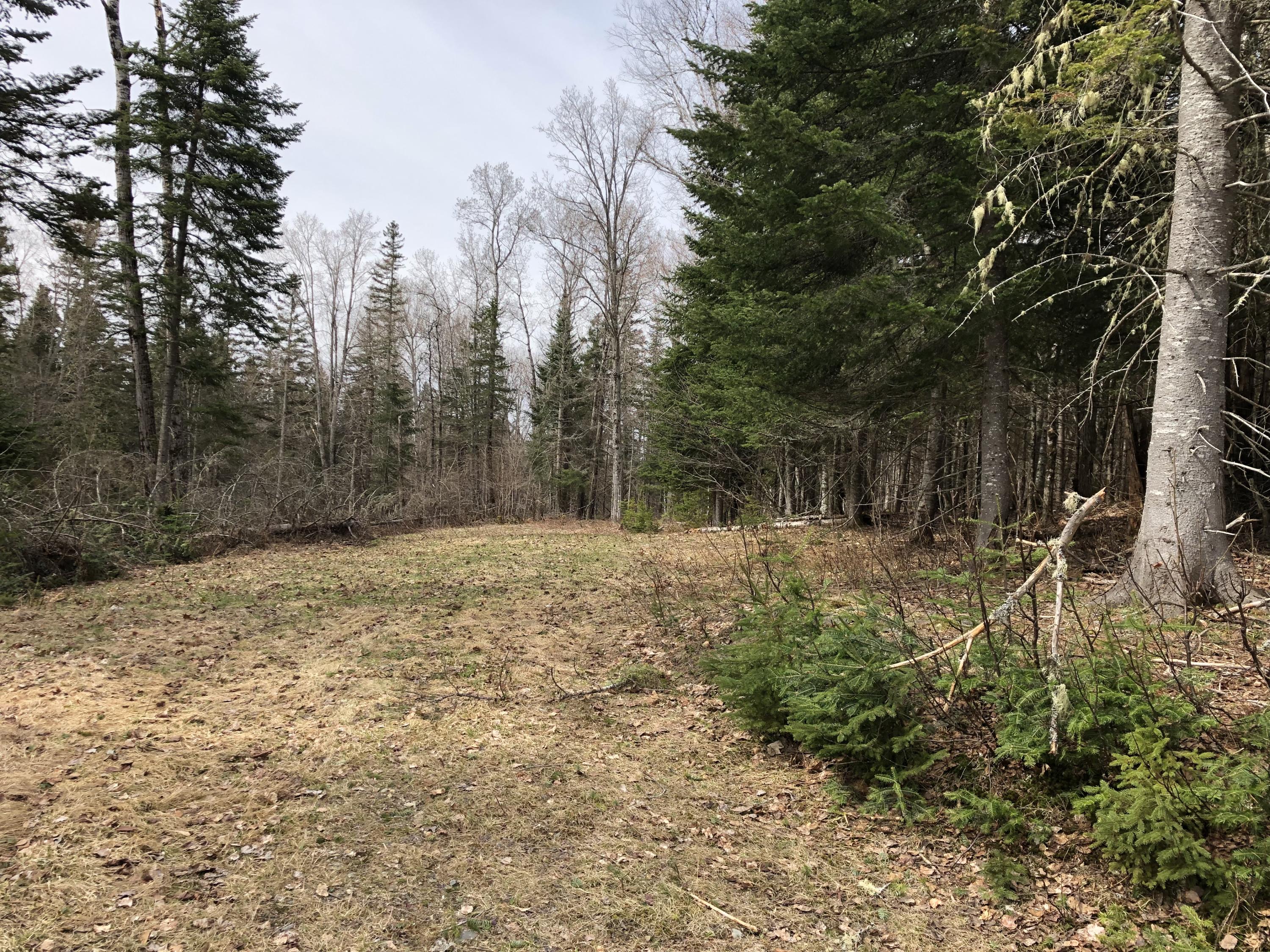 Lot 3 Quimby Farms Road Rangeley, ME 04970 - Photo 1 of 1 IMG_0039