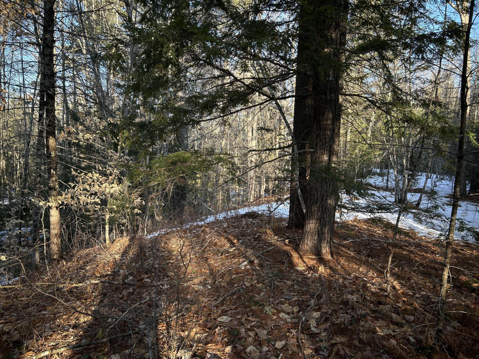 Map13-lot11 Field View Road Fryeburg, ME 04037 - Photo 16 of 37