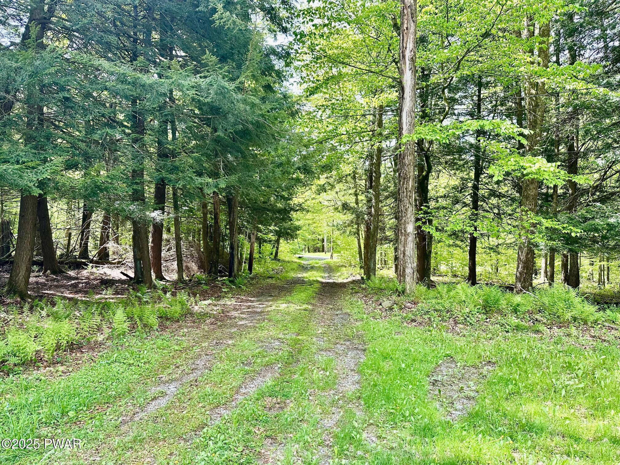 234 Coxton Lake Road Thompson, PA 18465 - Photo 20 of 23