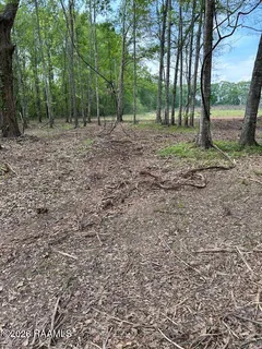 $48,000 | 1808 Bushville Highway, Unit TRACT 5, Arnaudville, LA 70512