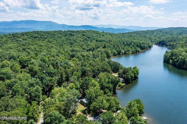 6838 Flats Road Tallassee, TN 37878 - Photo 16 of 17 Private Lake at Top of the World