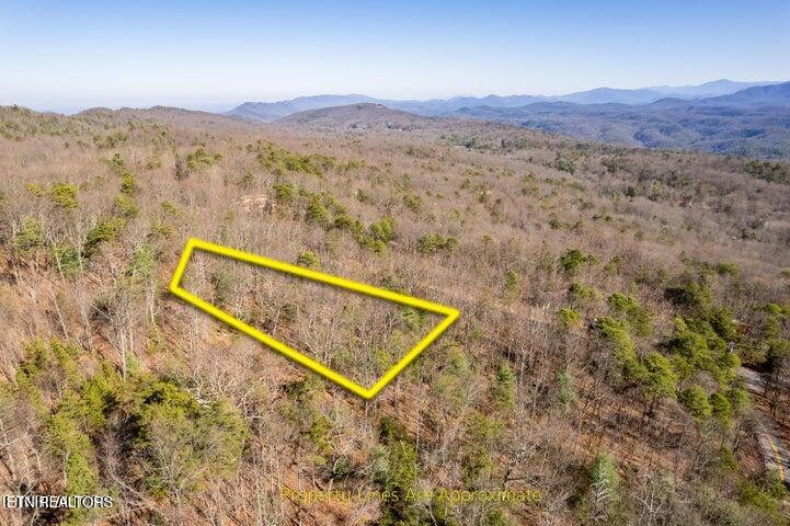 6838 Flats Road Tallassee, TN 37878 - Photo 4 of 17 Approximate boundary lines