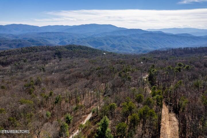 6838 Flats Road Tallassee, TN 37878 - Photo 5 of 17 Beautiful scenery
