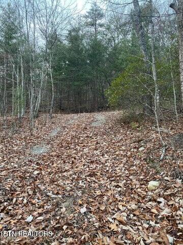 6838 Flats Road Tallassee, TN 37878 - Photo 6 of 17 Private drive leading to property