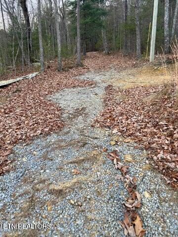 6838 Flats Road Tallassee, TN 37878 - Photo 7 of 17 Private drive to property