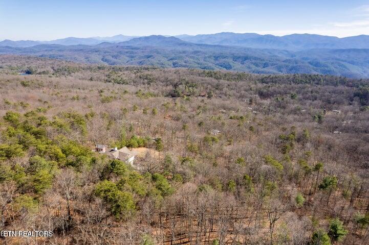 6838 Flats Road Tallassee, TN 37878 - Photo 8 of 17 Beautiful Top of the World