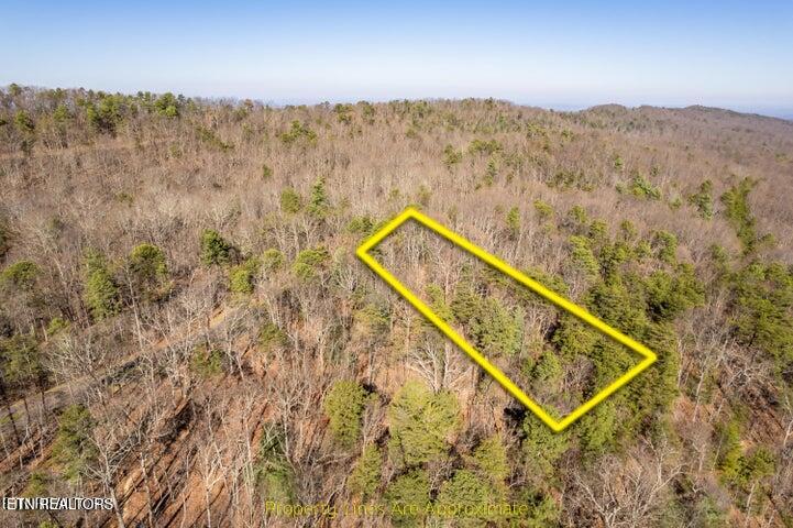 6838 Flats Road Tallassee, TN 37878 - Photo 9 of 17 Approximate boundary lines