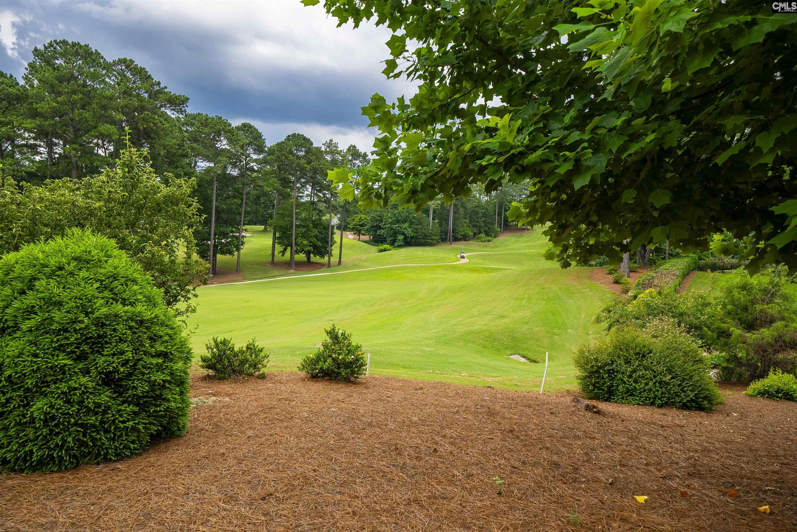 784 Coriander Road Blythewood, SC 29016 - Photo 85 of 97