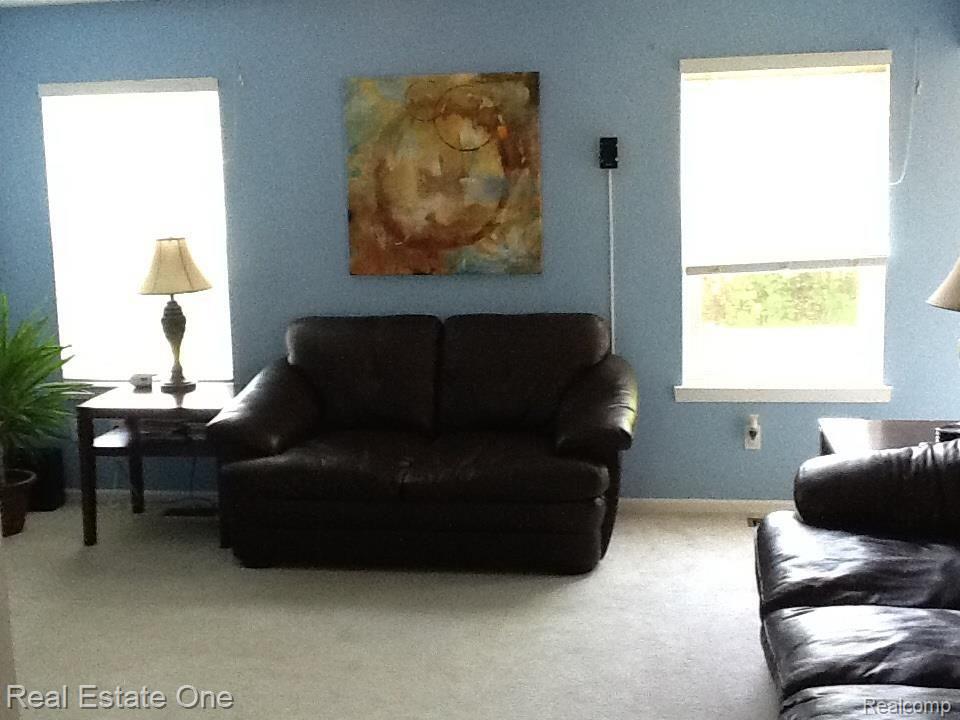 44925 Rector Drive Canton, MI 48188 - Photo 13 of 45 Loads of Natural Light