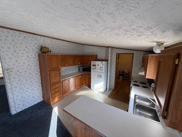 4465 Sunfish Creek Road Piketon, OH 45661 - Photo 3 of 9 IMG_1613