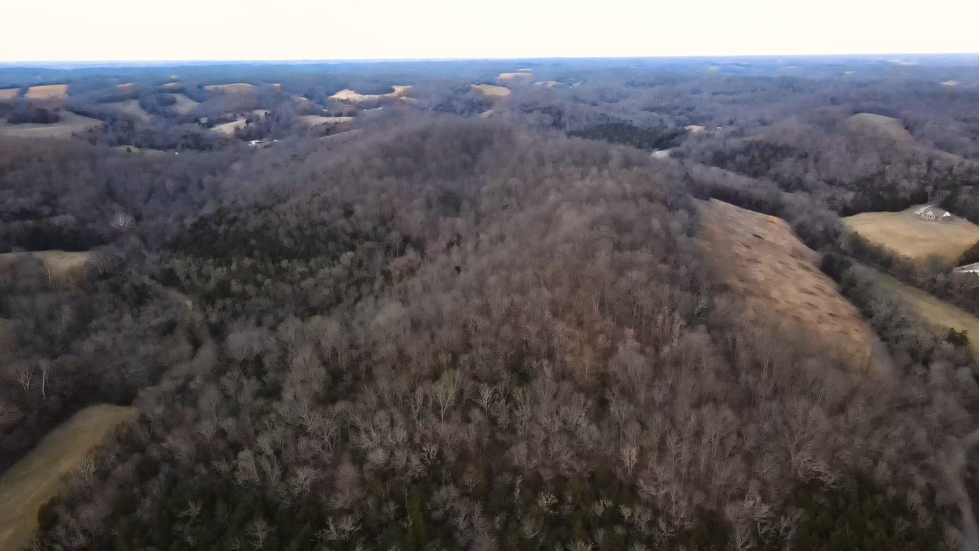 0 Oak Grove Road Belvidere, TN 37306 - Photo 14 of 17