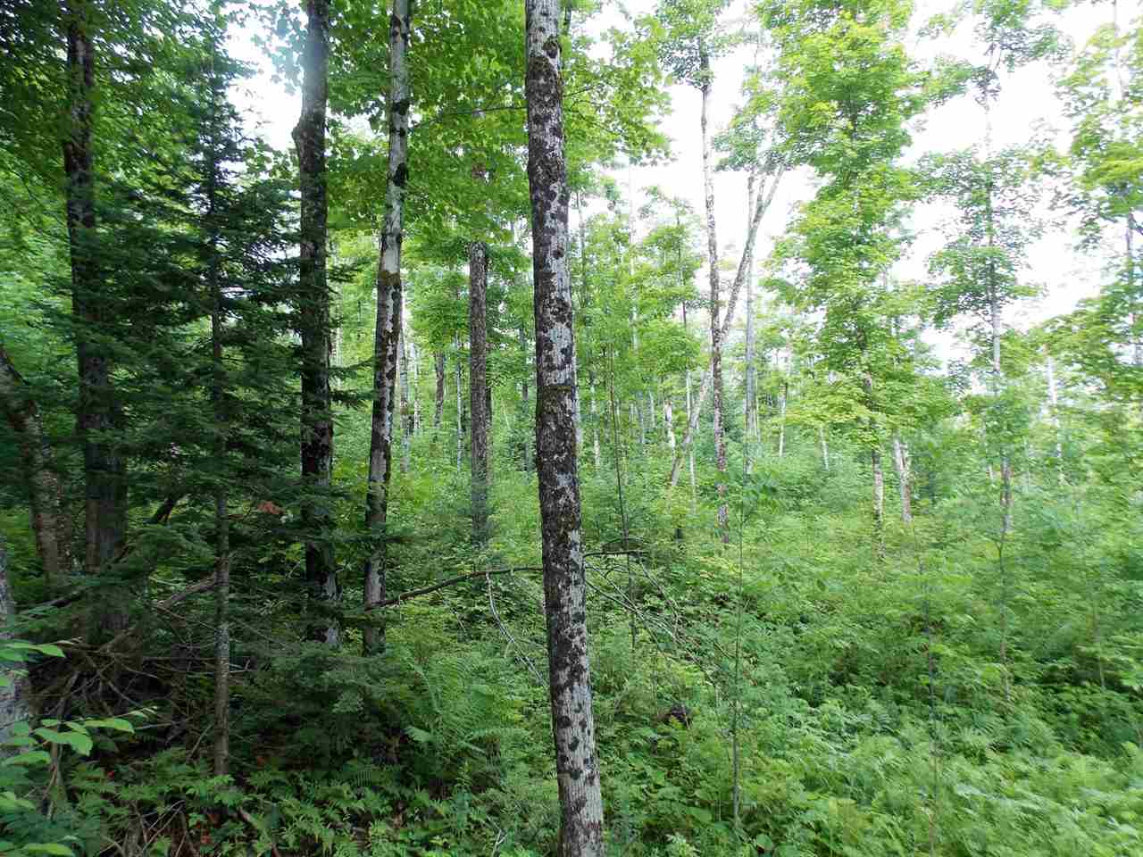 3501 Hudson Road Charleston, VT 05872 - Photo 14 of 21 Gallery Image 14