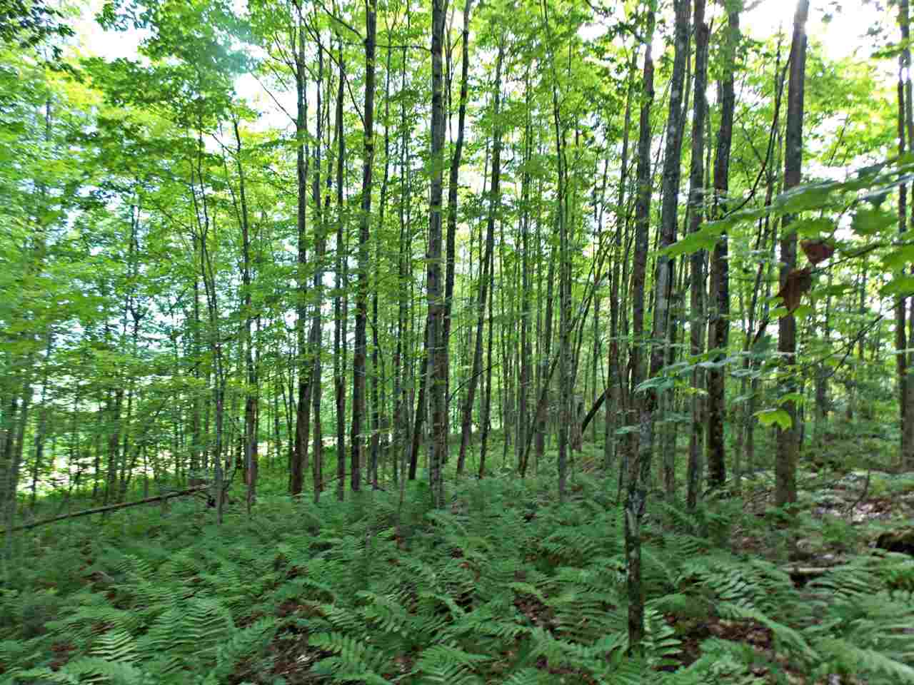 3501 Hudson Road Charleston, VT 05872 - Photo 15 of 21 Gallery Image 15