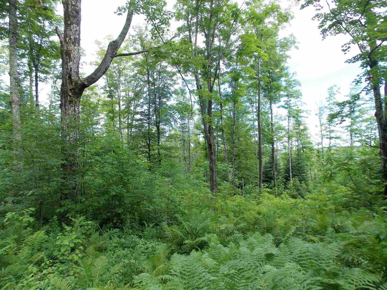 3501 Hudson Road Charleston, VT 05872 - Photo 16 of 21 Gallery Image 16