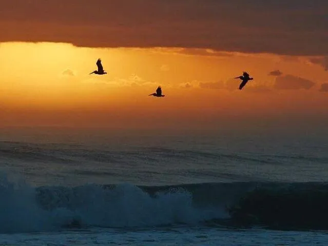 $459,999 | 125 South Ocean Avenue, Unit 207, Palm Beach Shores, FL 33404