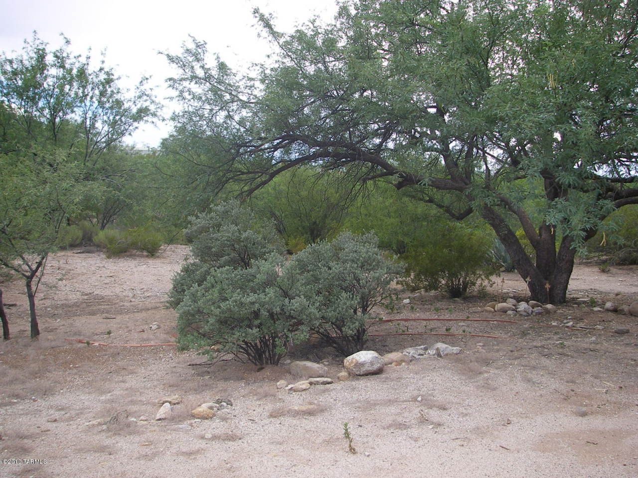9102 East Indian Hills Road Tucson, AZ 85749 - Photo 2 of 9