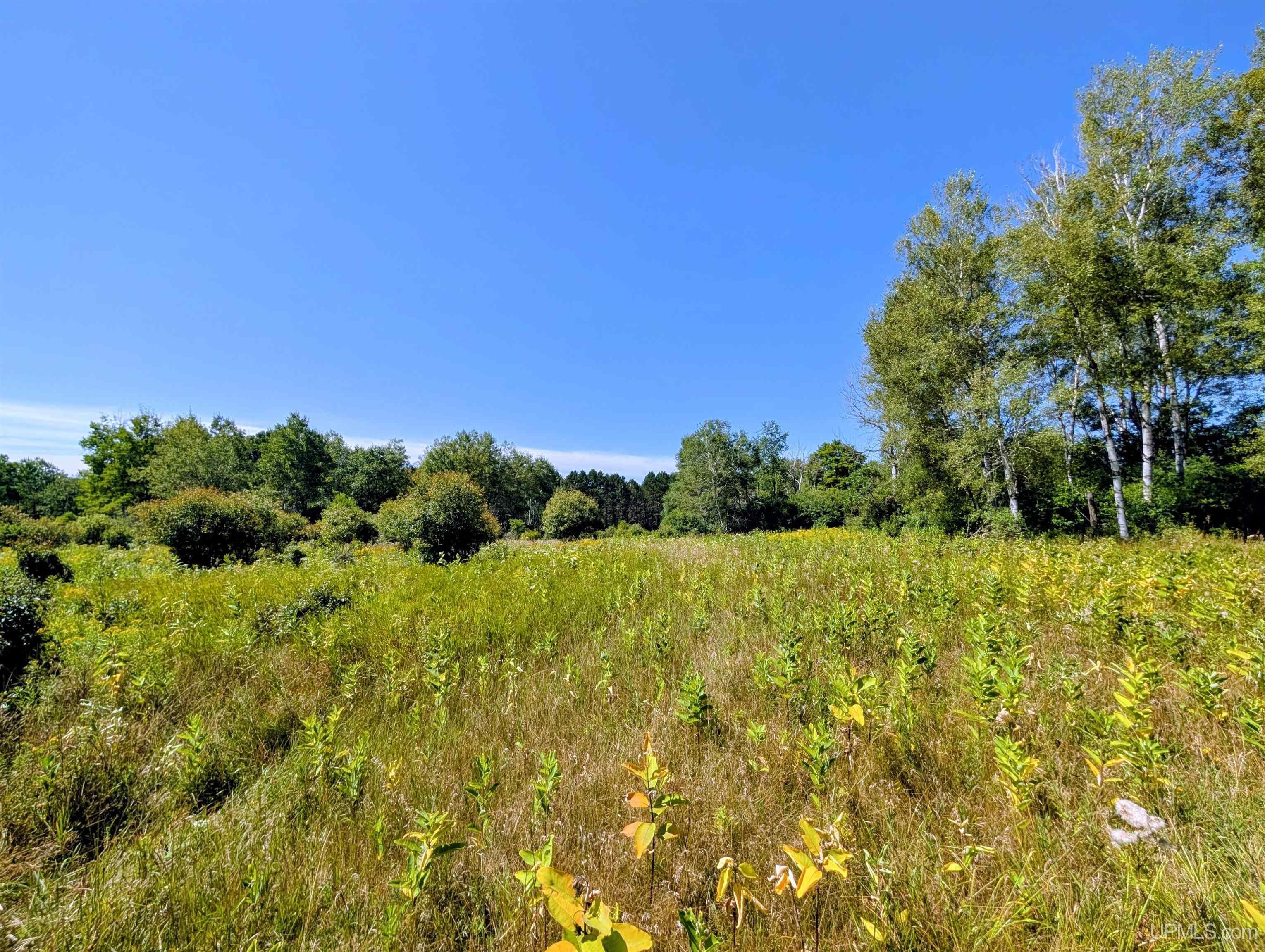 576 Bates-Gaastra Road Iron River, MI 49935 - Photo 48 of 68 Gallery Image 48