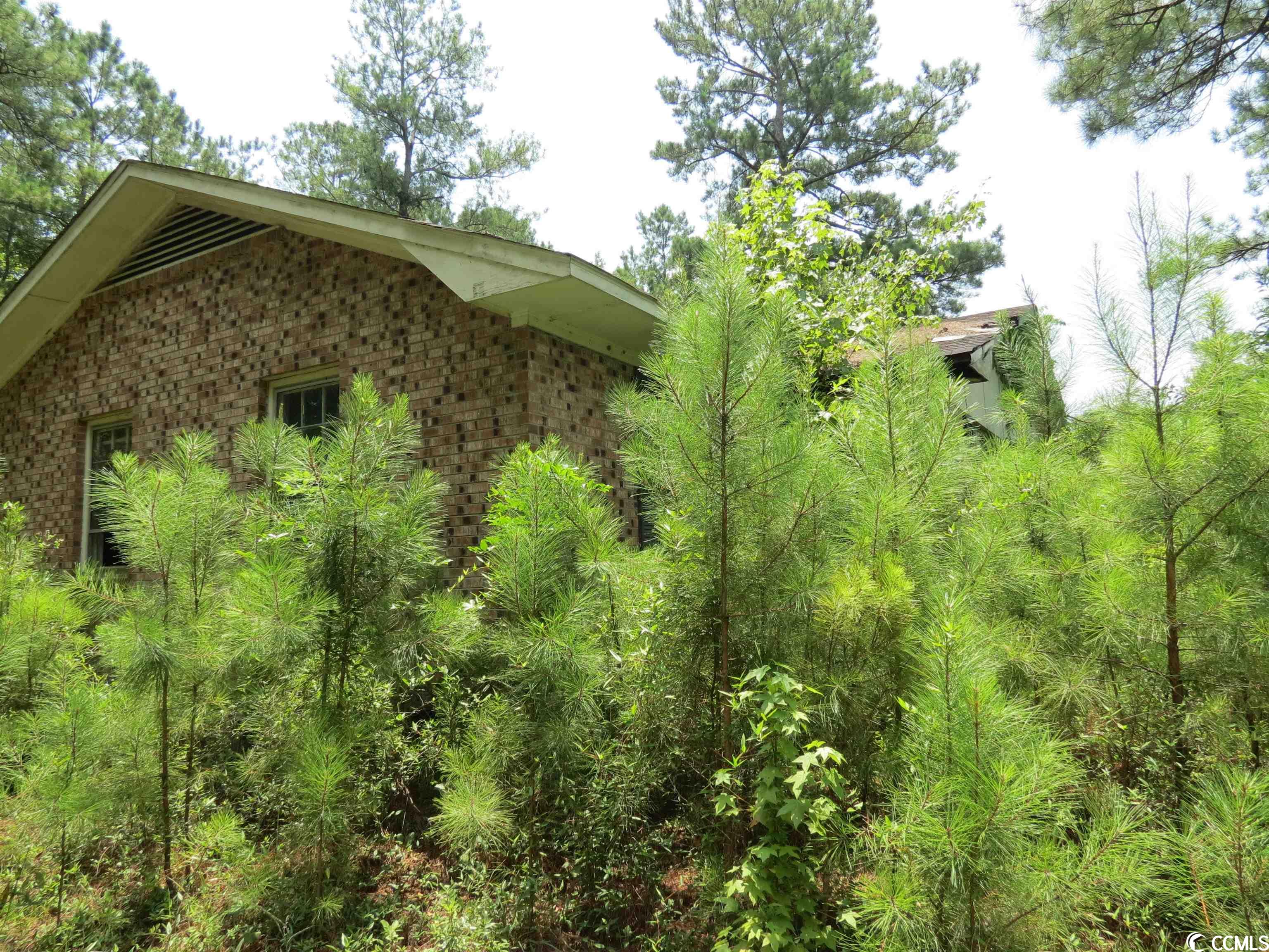 3213 Folly Grove Road Hemingway, SC 29554 - Photo 2 of 7 Gallery Image 2