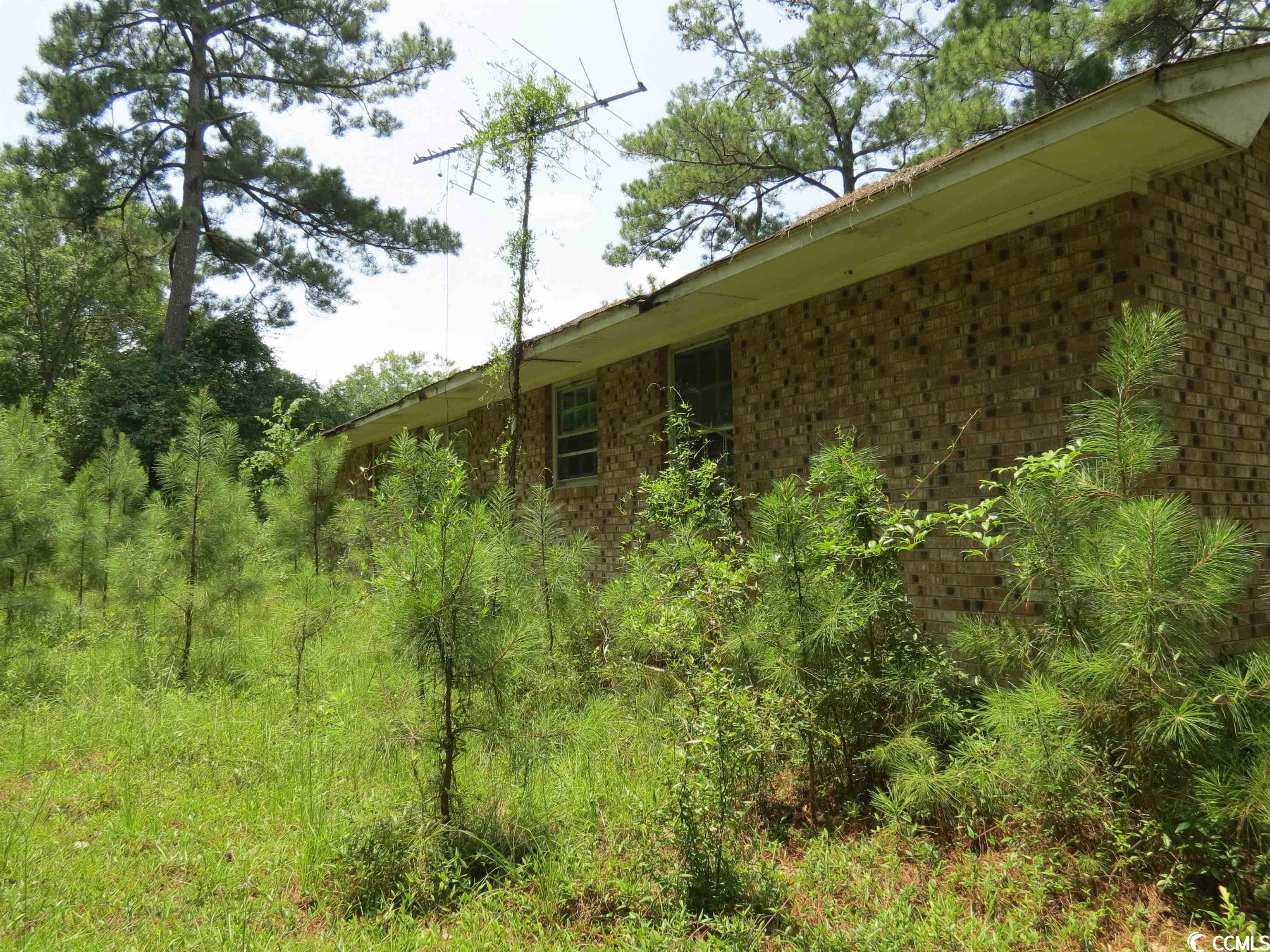 3213 Folly Grove Road Hemingway, SC 29554 - Photo 3 of 7 Gallery Image 3