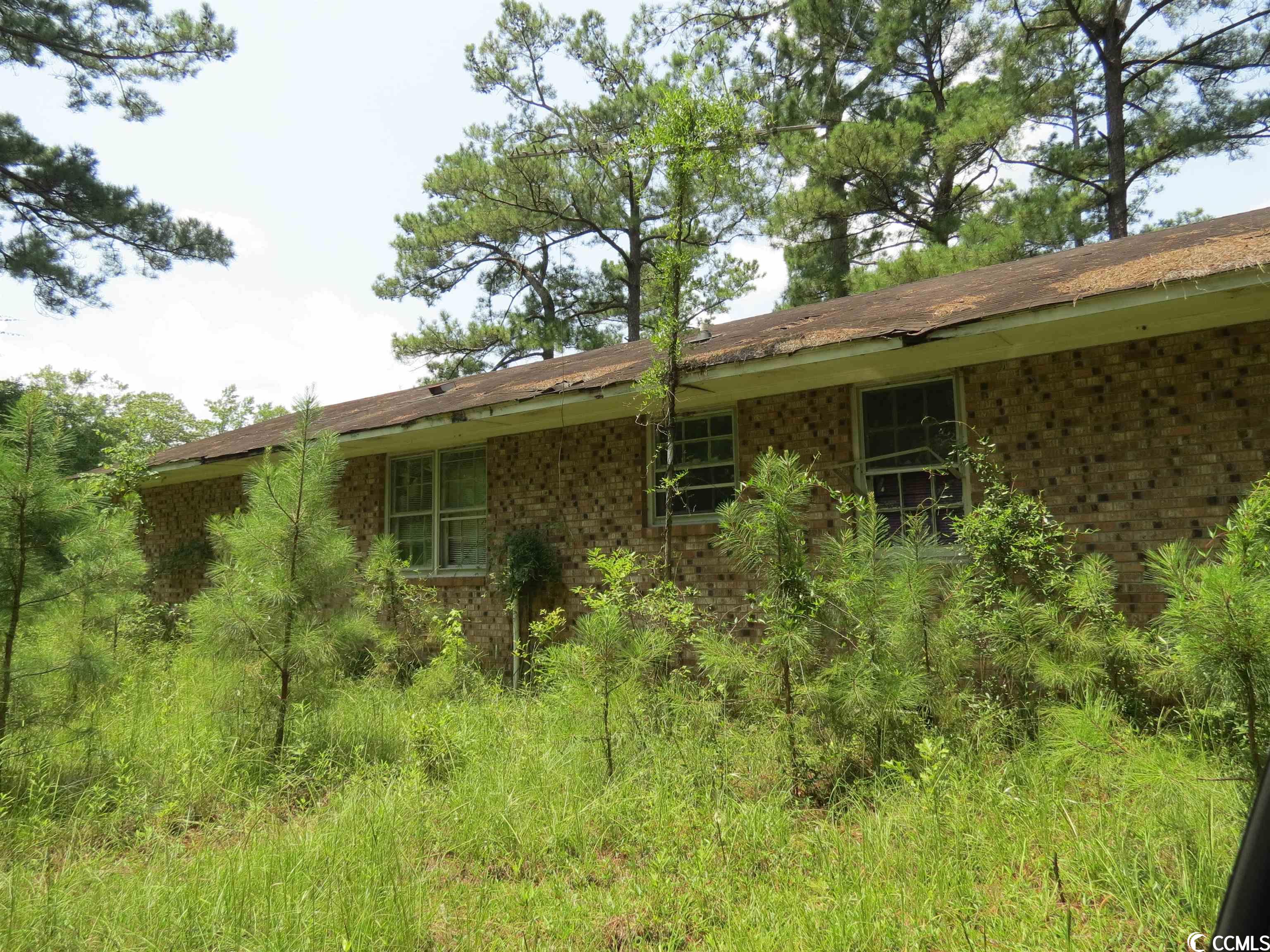 3213 Folly Grove Road Hemingway, SC 29554 - Photo 4 of 7 Gallery Image 4