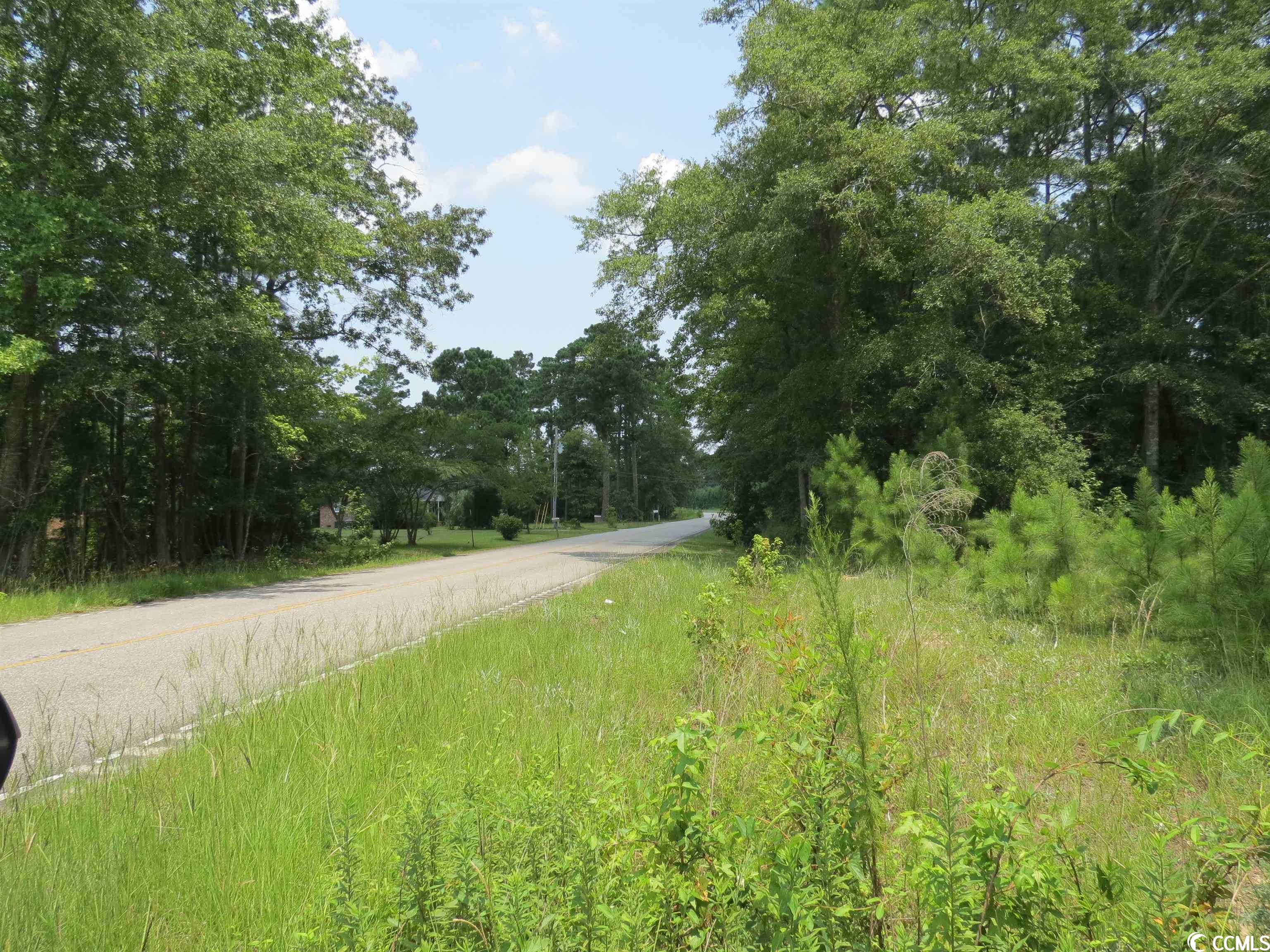 3213 Folly Grove Road Hemingway, SC 29554 - Photo 6 of 7 Gallery Image 6