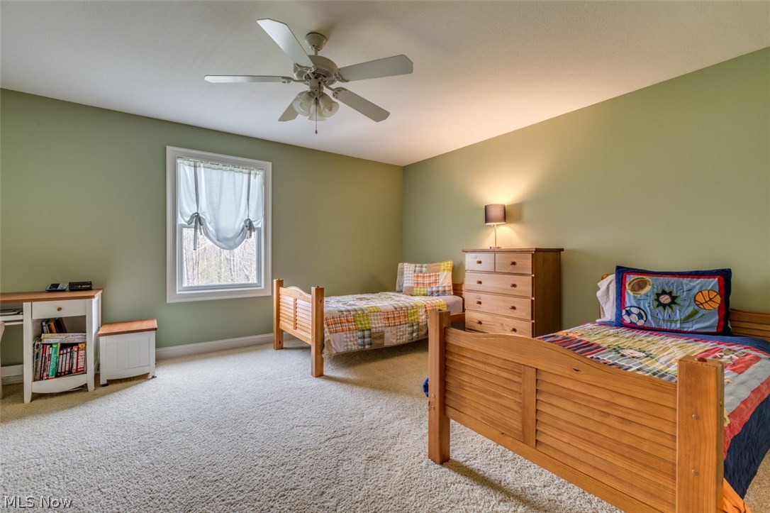 12451 Carter Road Painesville, OH 44077 - Photo 21 of 29 Gallery Image 21