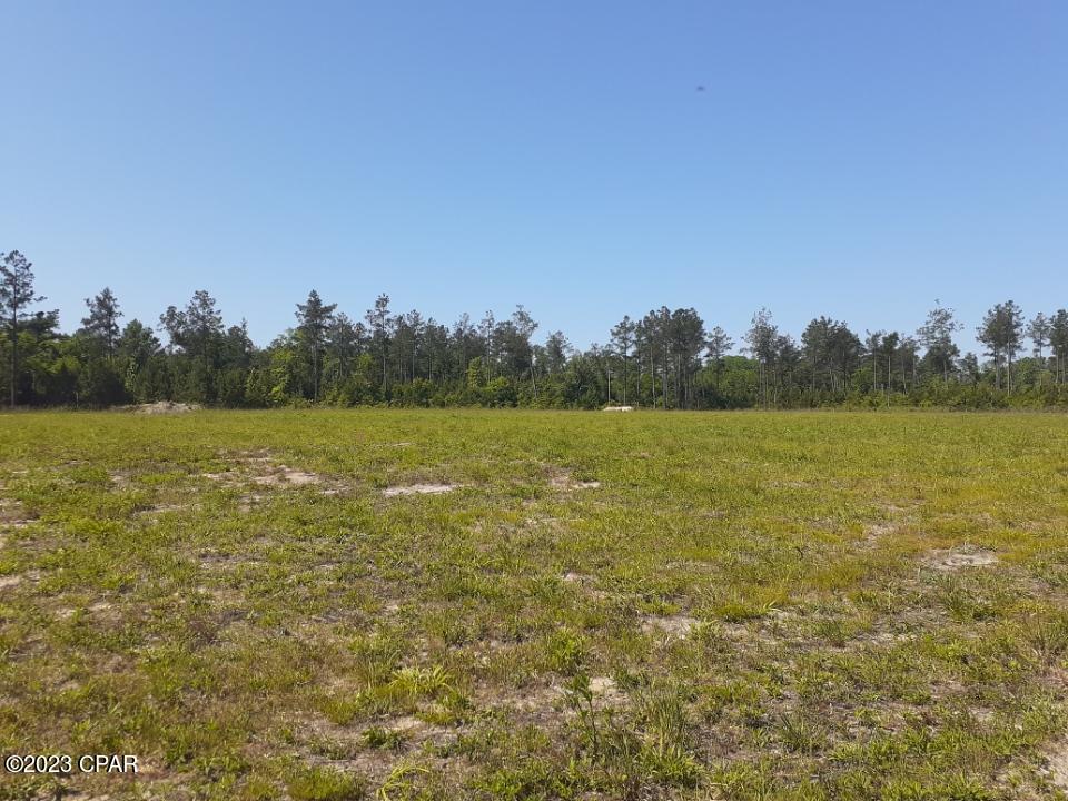 0 Palmview Road Cottondale, FL 32431 - Photo 23 of 51