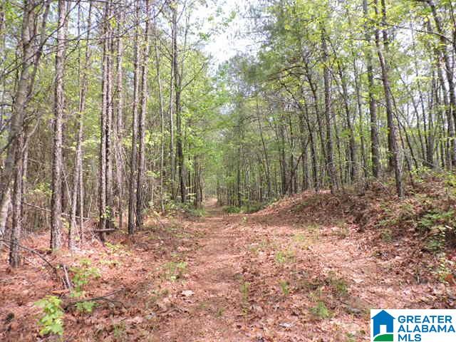 204 County Road, Unit 87 Wedowee, AL 36278 - Photo 7 of 11