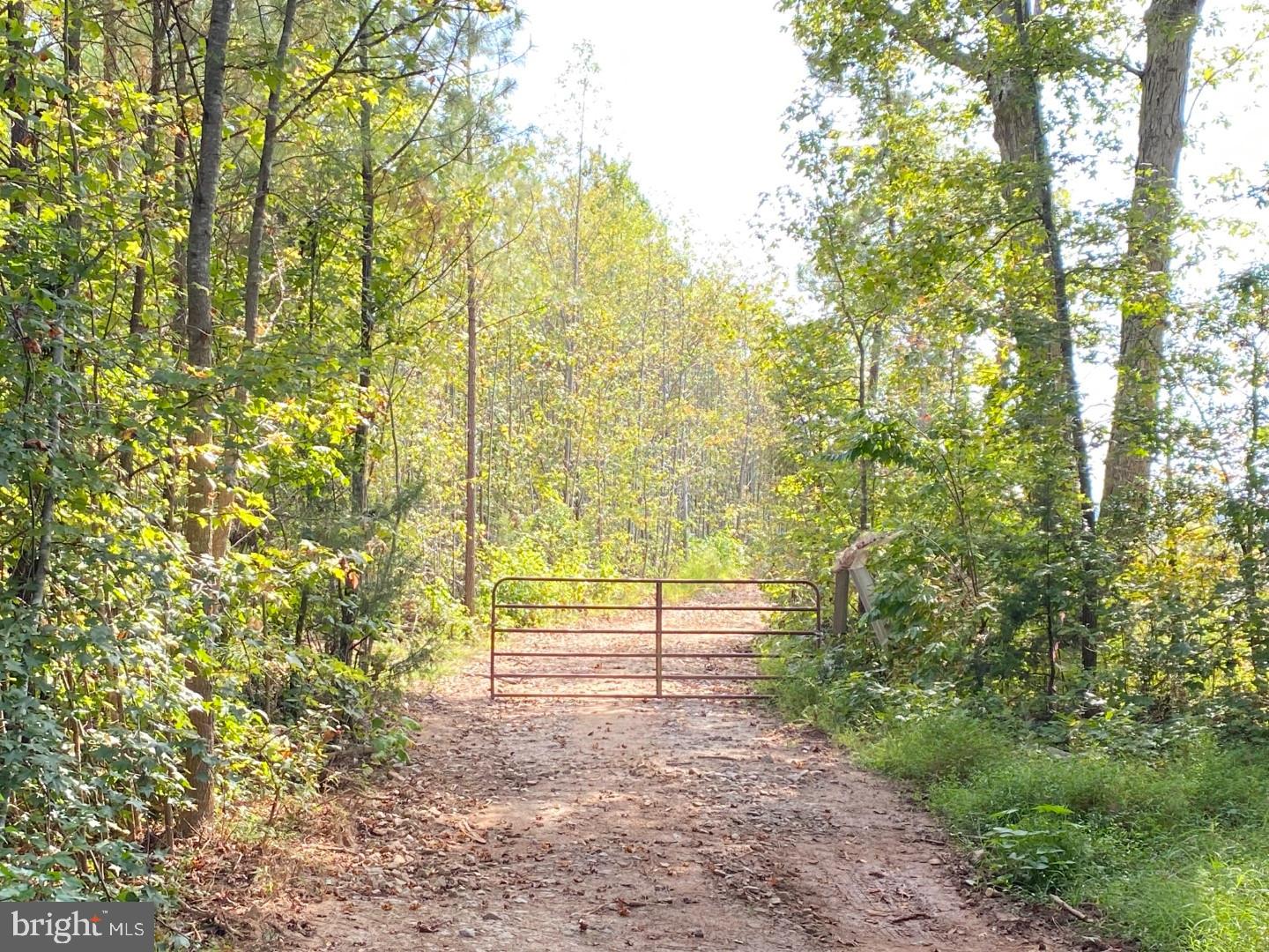 684 Squirrel Hollow Road Alberta, VA 23821 - Photo 6 of 43 Gateway to Nature's Serenity