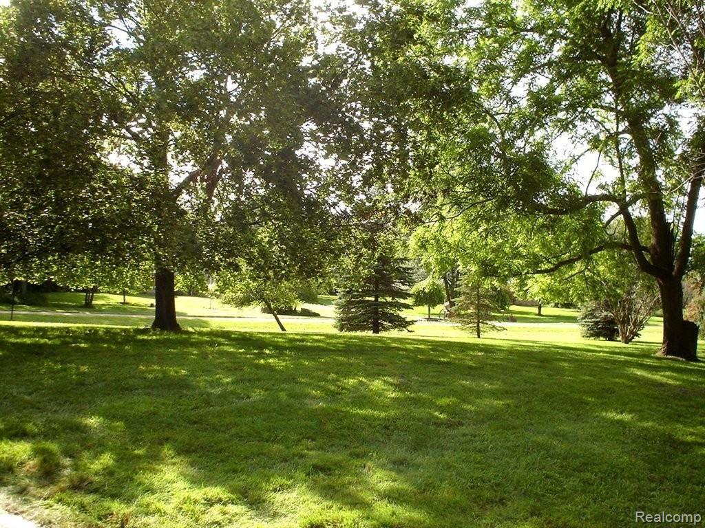 6280 Shappie Road Clarkston, MI 48348 - Photo 2 of 20 SHAPPIE VIEW TO STREET.JPG