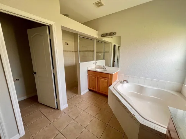 a bathroom with a sink a mirror and a bathtub