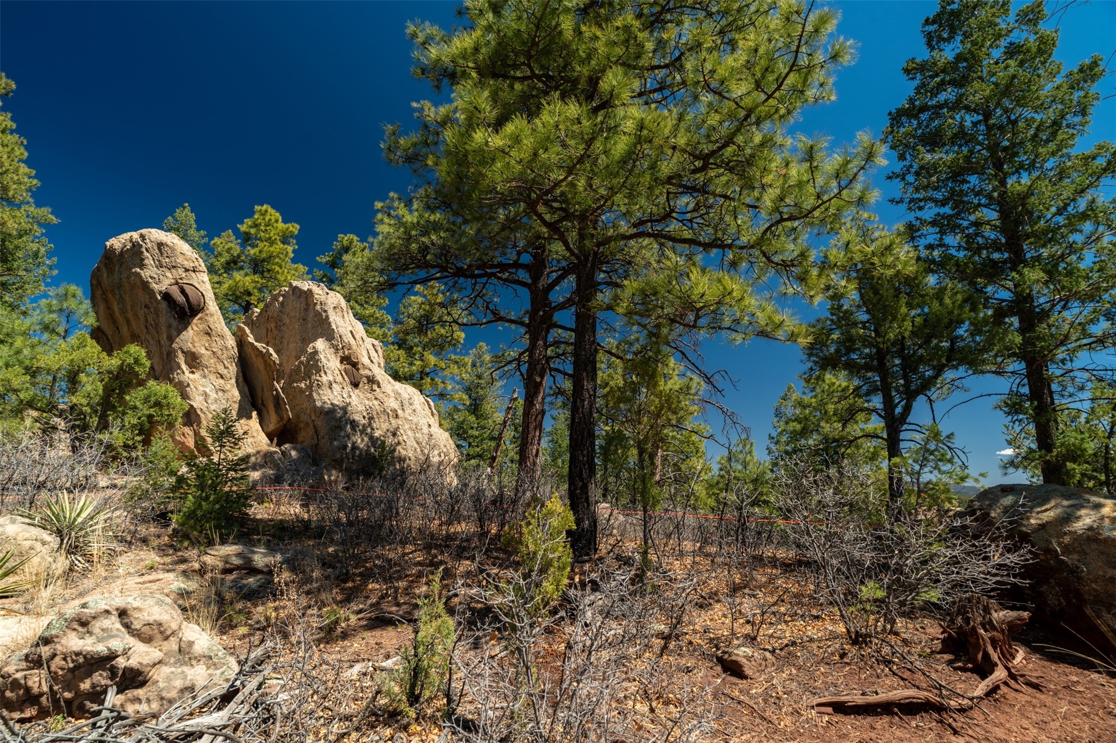 30 Monte La Cueva Road Glorieta, NM 87535 - Photo 33 of 91