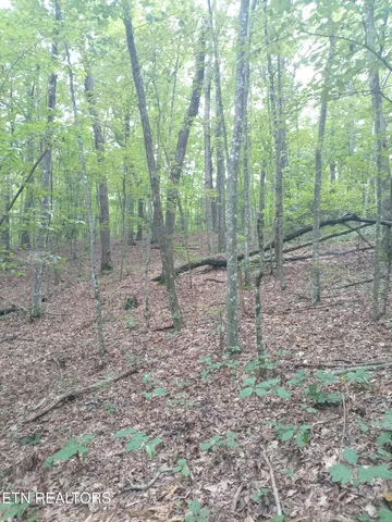 $207,000 | I-75 Road, Pioneer, TN 37847