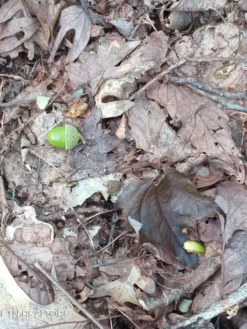 $207,000 | I-75 Road, Pioneer, TN 37847