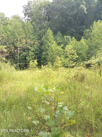 $207,000 | I-75 Road, Pioneer, TN 37847