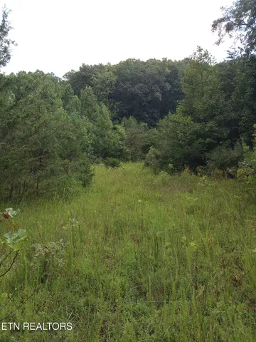 $207,000 | I-75 Road, Pioneer, TN 37847