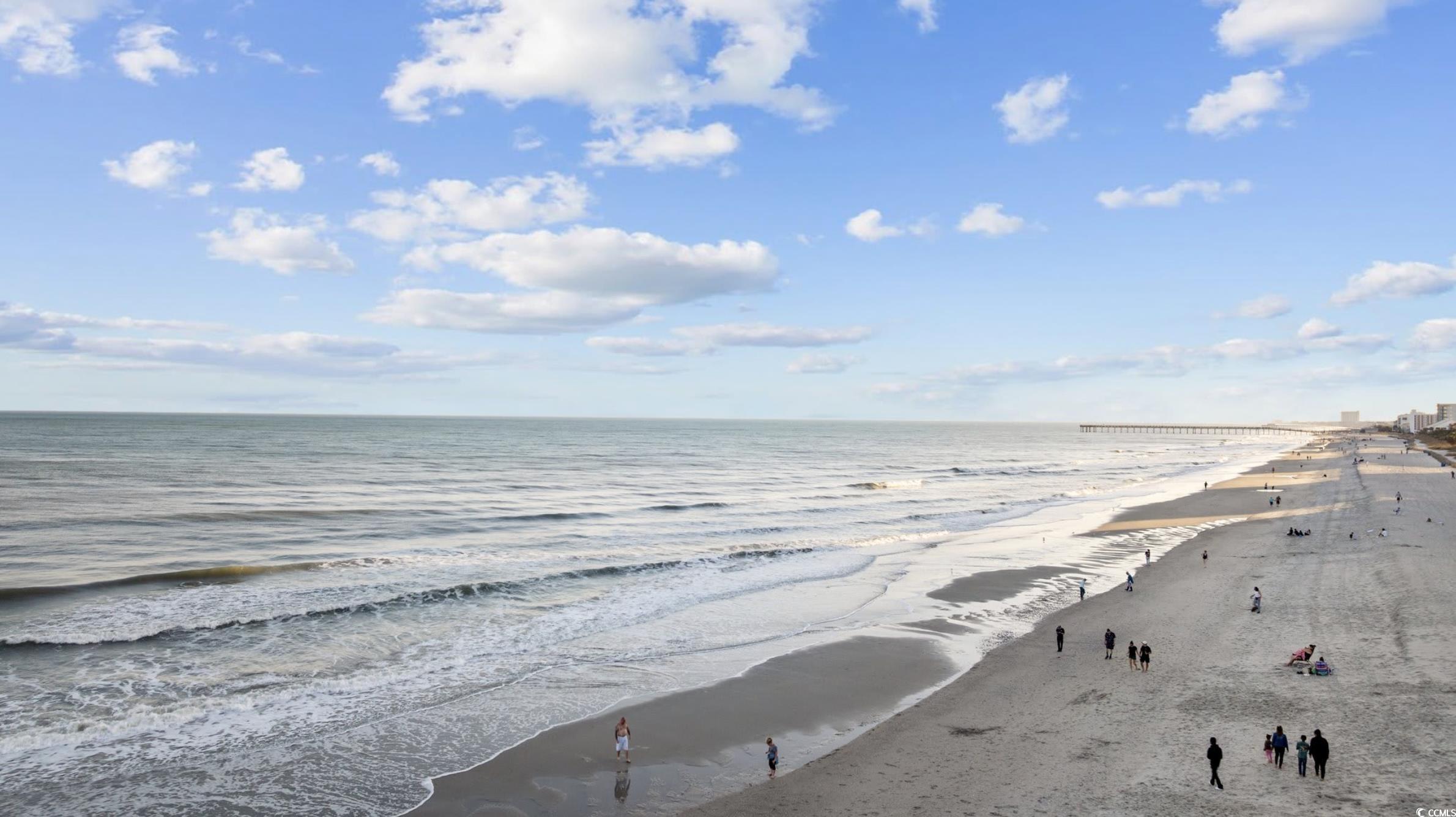 202 F Madison Court Myrtle Beach, SC 29577 - Photo 34 of 37