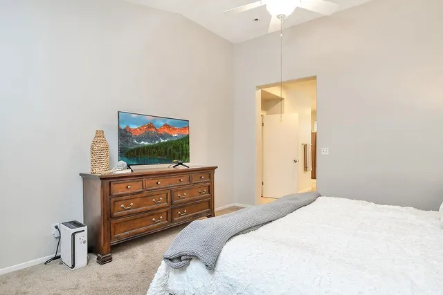 a bedroom with a bed and a flat screen tv