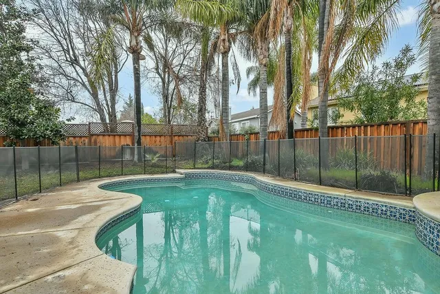 a garden with trees in front of it