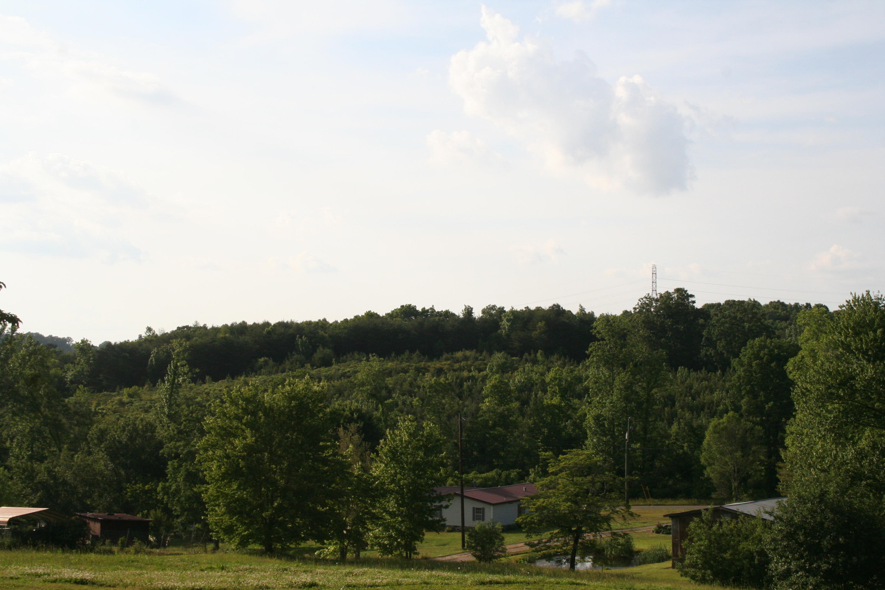 397 Casey Road Trenton, GA 30752 - Photo 15 of 18 IMG_0266