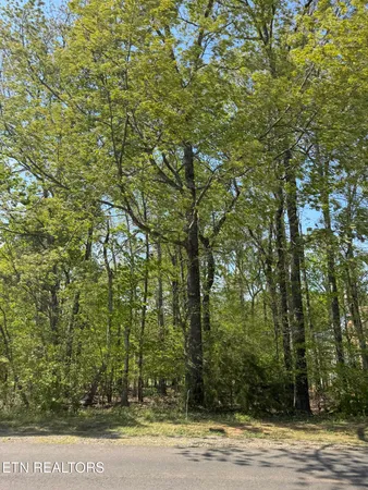 $99,000 | 443 Kahite Trail, Vonore, TN 37885