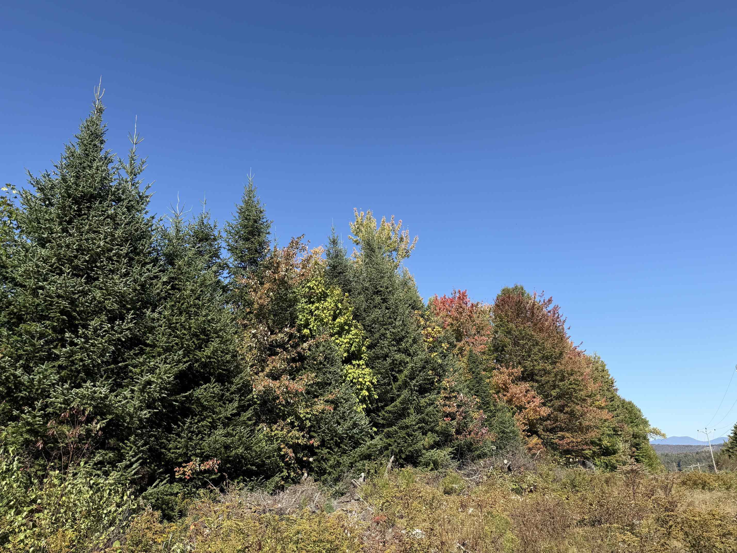 2870 Leonard Hill Road Concord, VT 05824 - Photo 7 of 7 Gallery Image 7