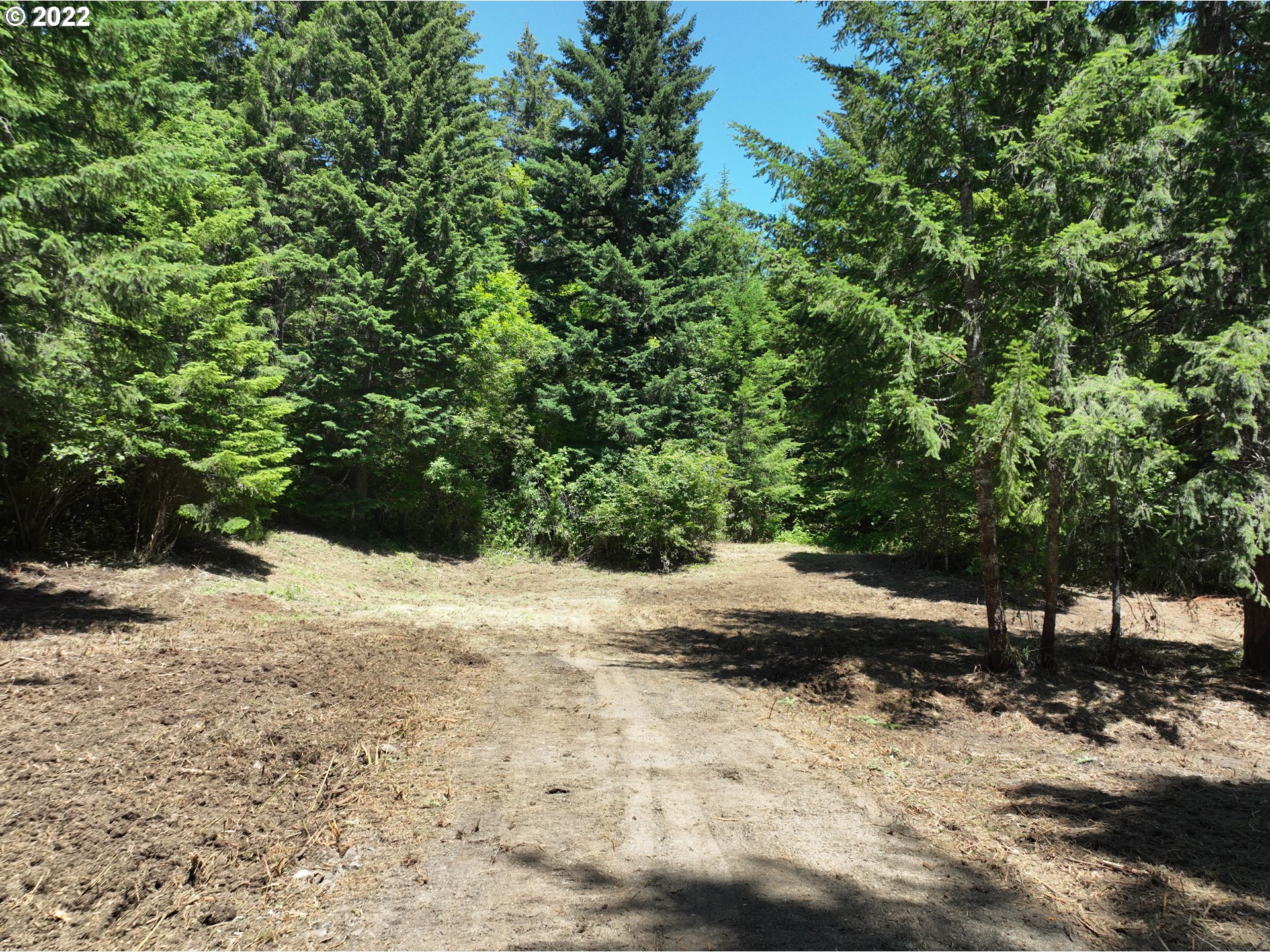 Baker Road Stevenson, WA 98648 - Photo 4 of 13 a view of a dirt road with trees in the background