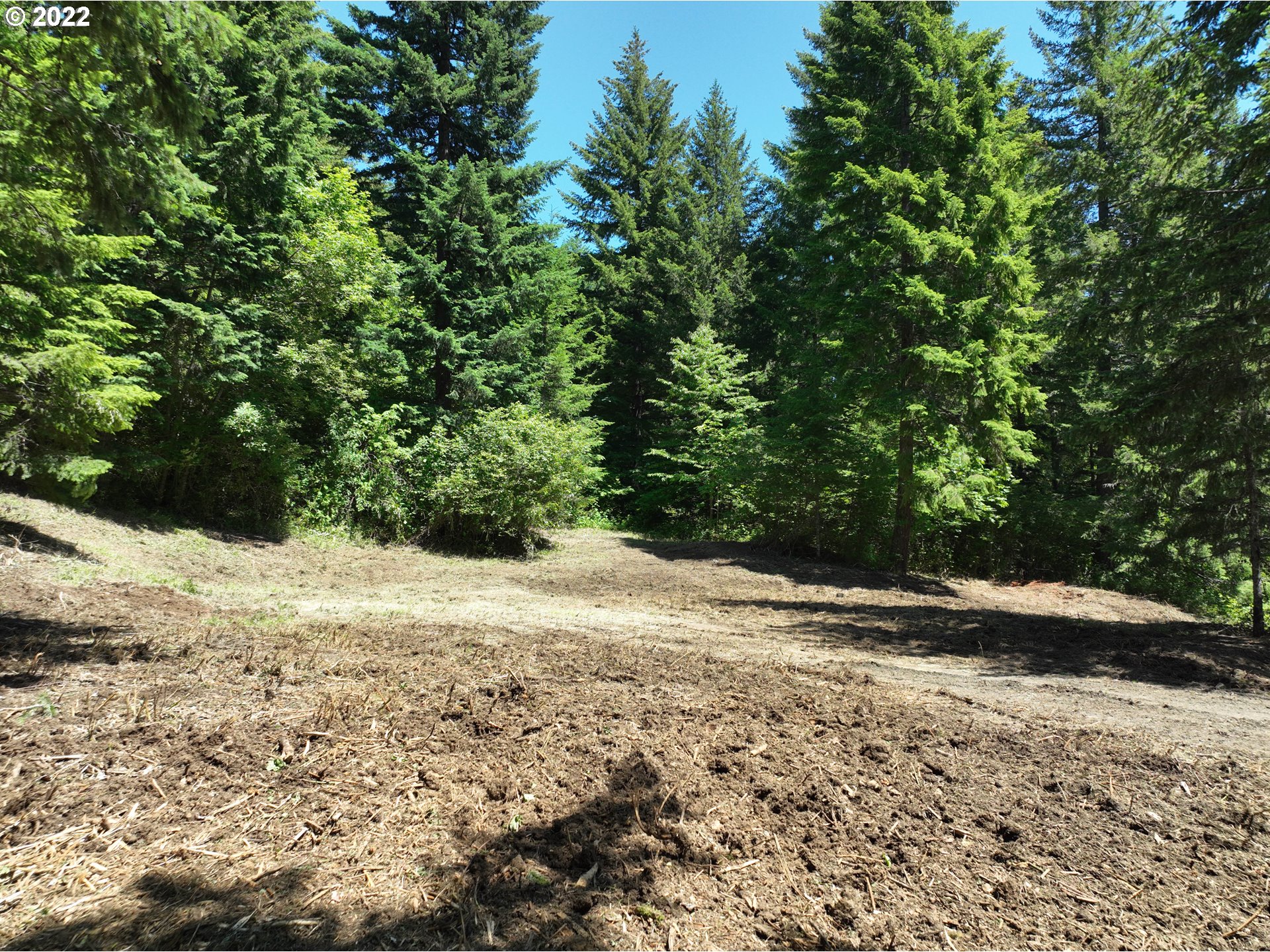 Baker Road Stevenson, WA 98648 - Photo 7 of 13 a view of a yard with plants and trees