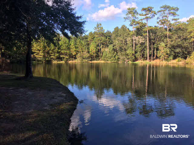 43 Shady Lane Clayton, AL 36016 - Photo 4 of 12