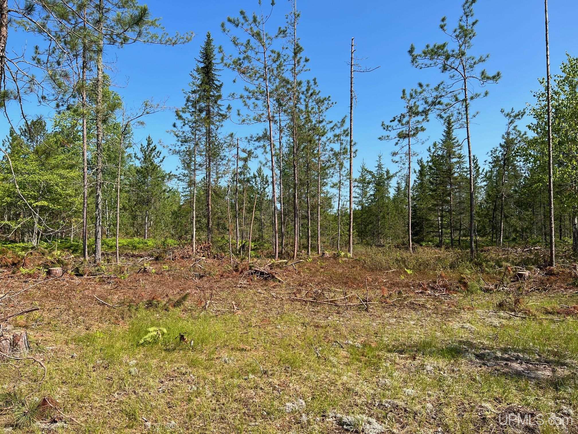 Tbds40 Rice Lake Road Lake Linden, MI 49945 - Photo 13 of 18 Gallery Image 13
