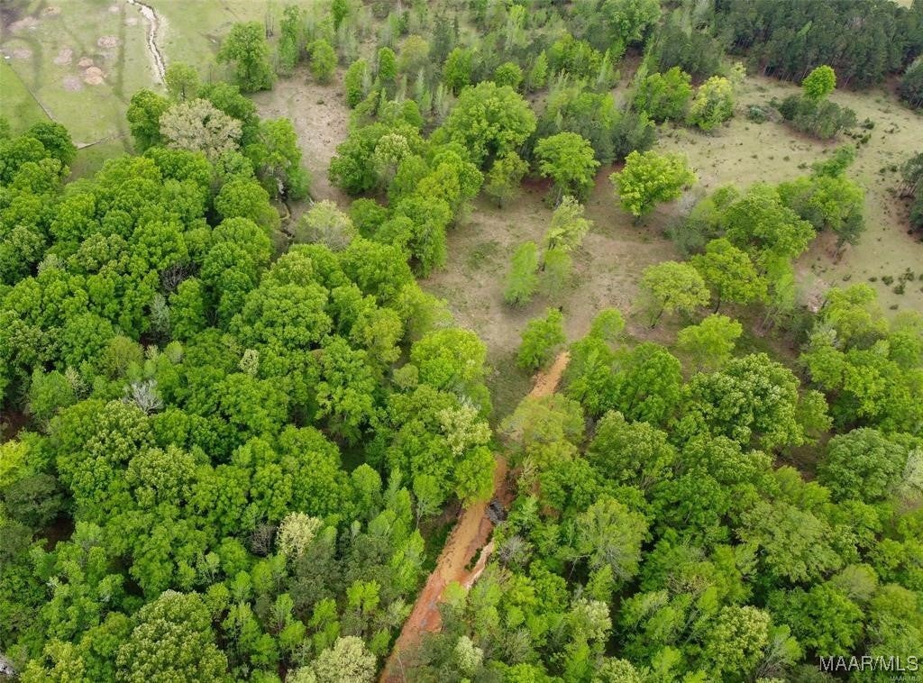0 Pugh Road Mathews, AL 36052 - Photo 3 of 5 Gallery Image 3