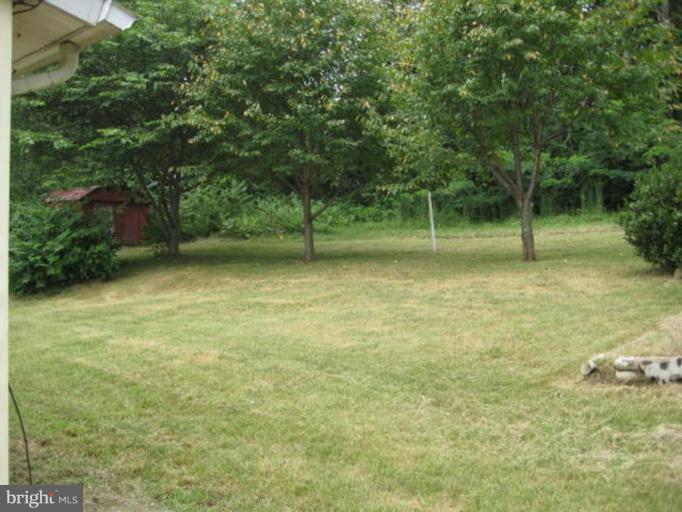 Back yard