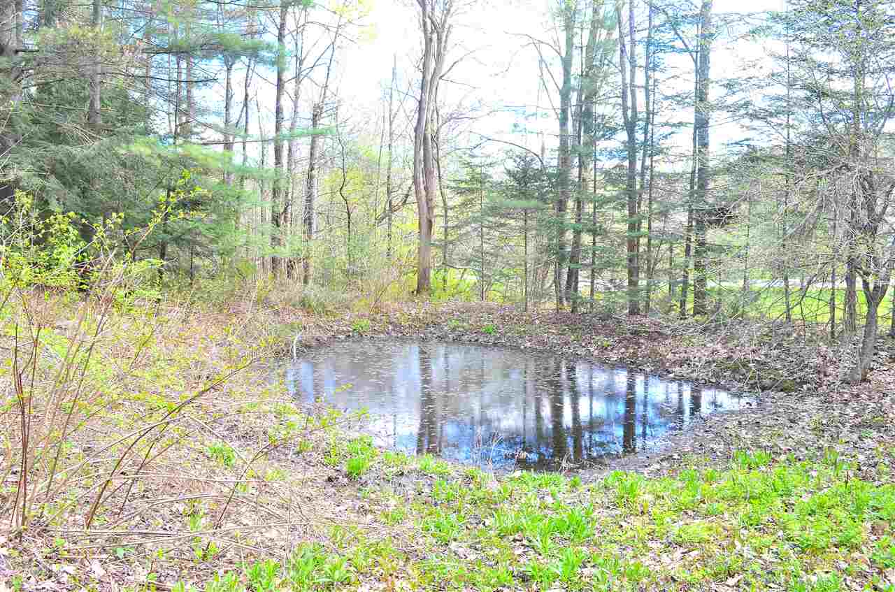 43 Dowsville Road Duxbury, VT 05660 - Photo 7 of 39